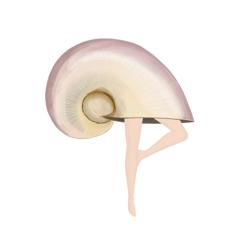 Shellbrooch_preview