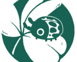 Logo1_thumb