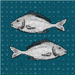Fish_profile_pic_preview