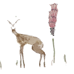 Layer_preview