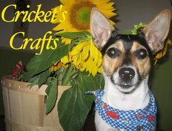 Facebookcricketscrafts_preview