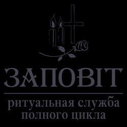 43243223_preview