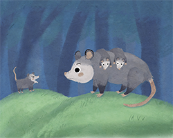Tiny_opossums_preview