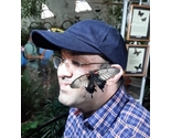 Vivek_butterfly_thumb