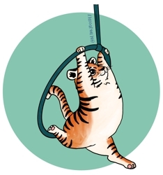 Tiger_preview
