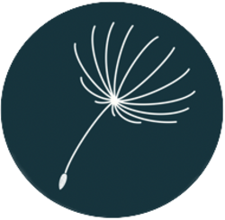 Logo_5_small_preview