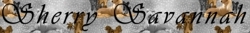 Spoonflowerbanner_preview