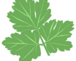 Logo_no_background_thumb