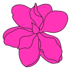 Magnolia_small_preview