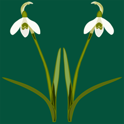 Snowdrops_for_pattern_resized_copy_preview