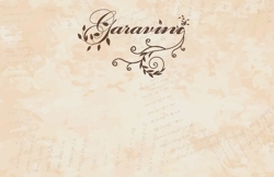 Garavini_preview