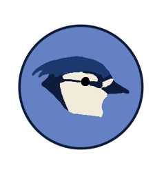 Head_preview