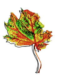 Image of the artist a_1000_word_designs who created this design