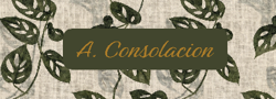 Image of the artist aconsolacion who created this design