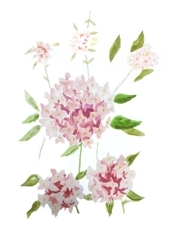 Image of the artist gardentwine who created this design
