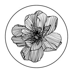 Basic-logo_preview