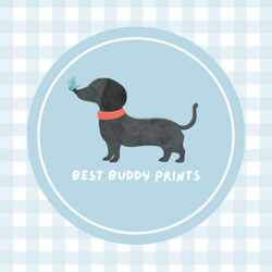 Buddycirclelogowithplaid_preview